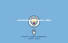 乐鱼体育登录-国际足球锦标赛吸引球迷目光，酣畅淋漓