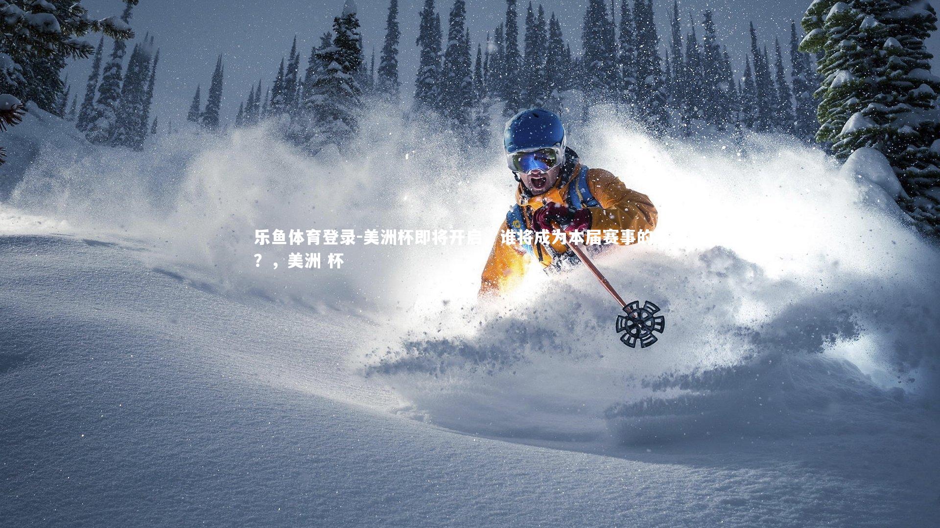 美洲杯即将开启，谁将成为本届赛事的黑马？，美洲 杯