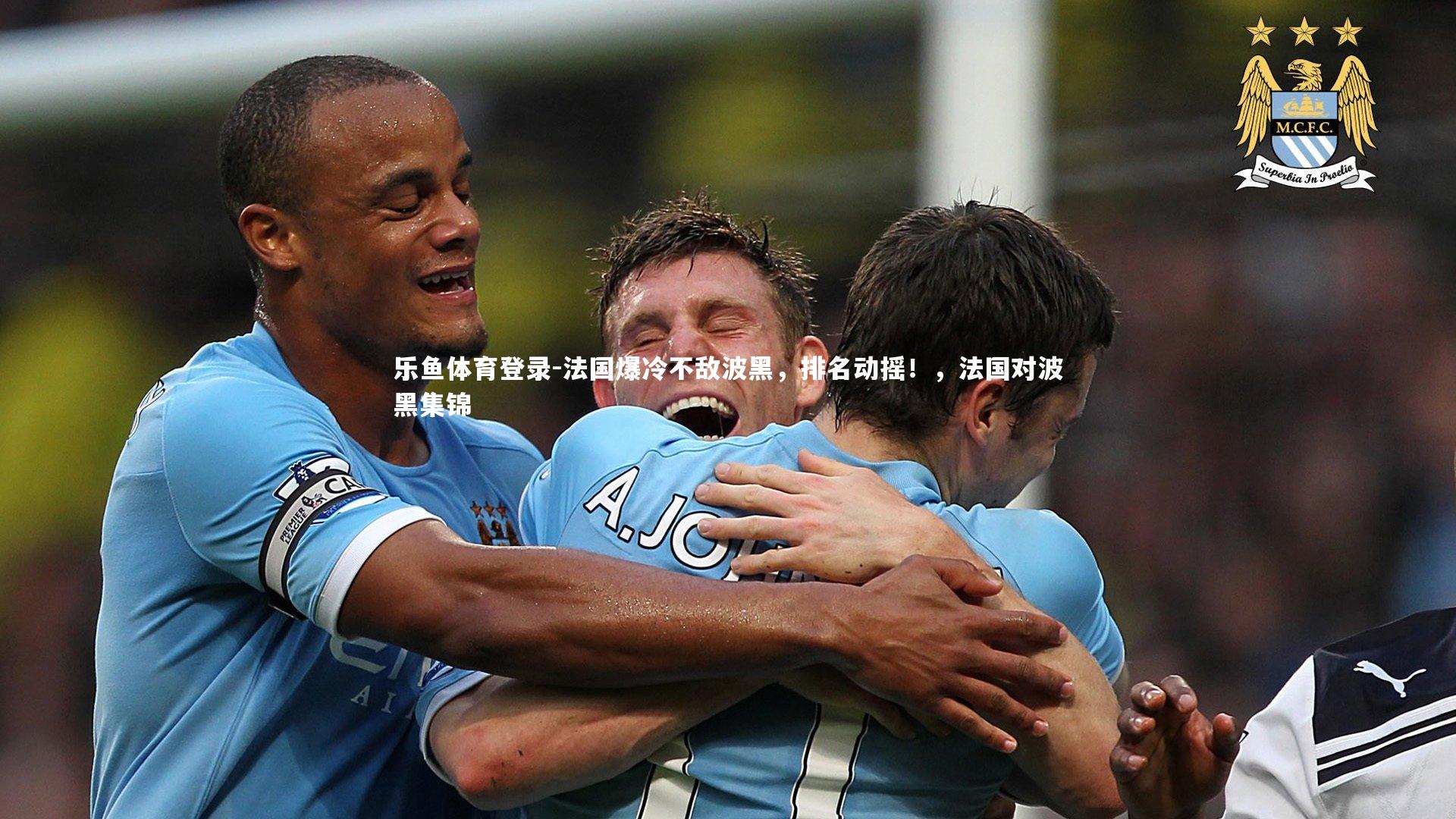 法国爆冷不敌波黑，排名动摇！，法国对波黑集锦