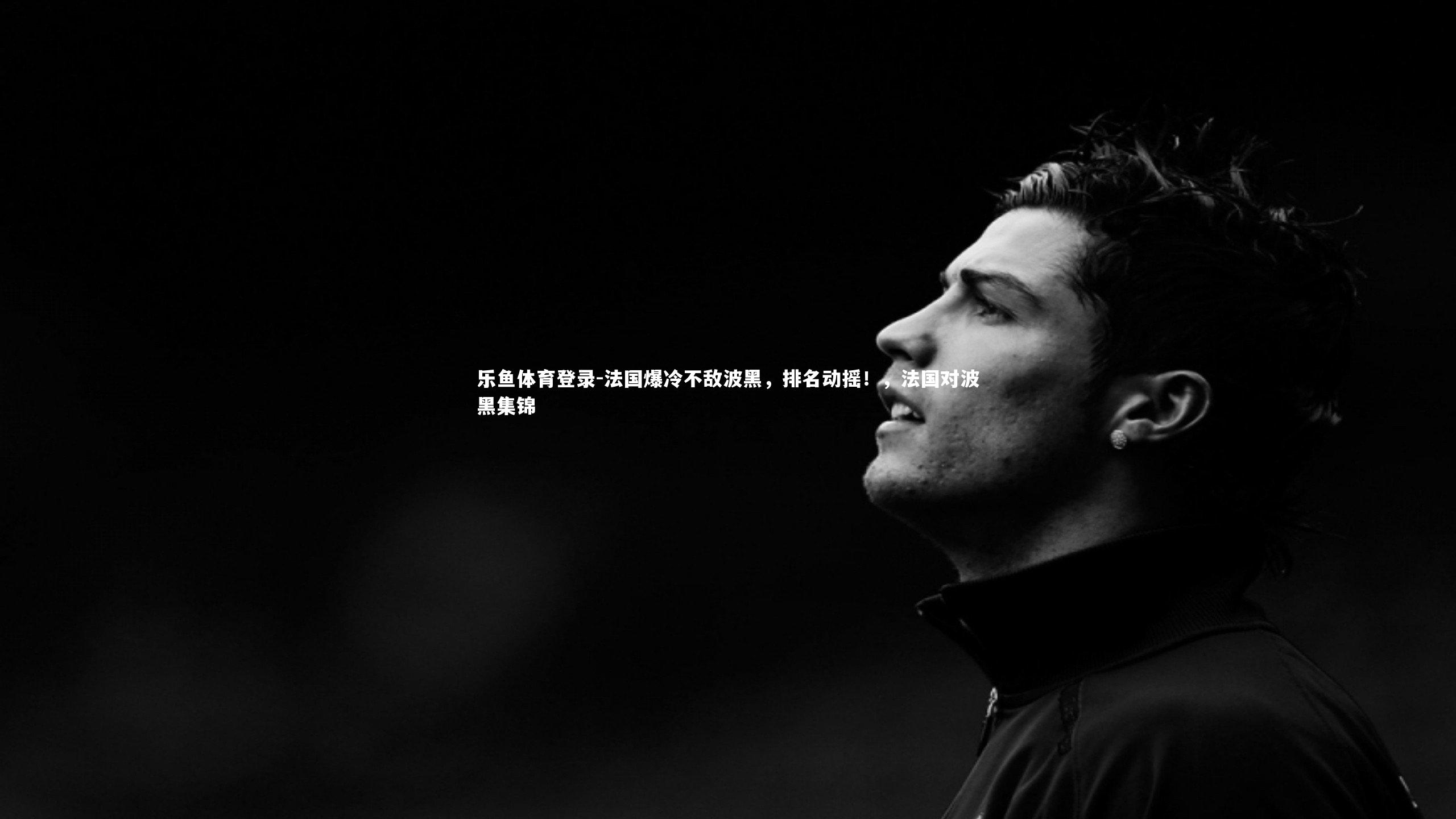 法国爆冷不敌波黑，排名动摇！，法国对波黑集锦