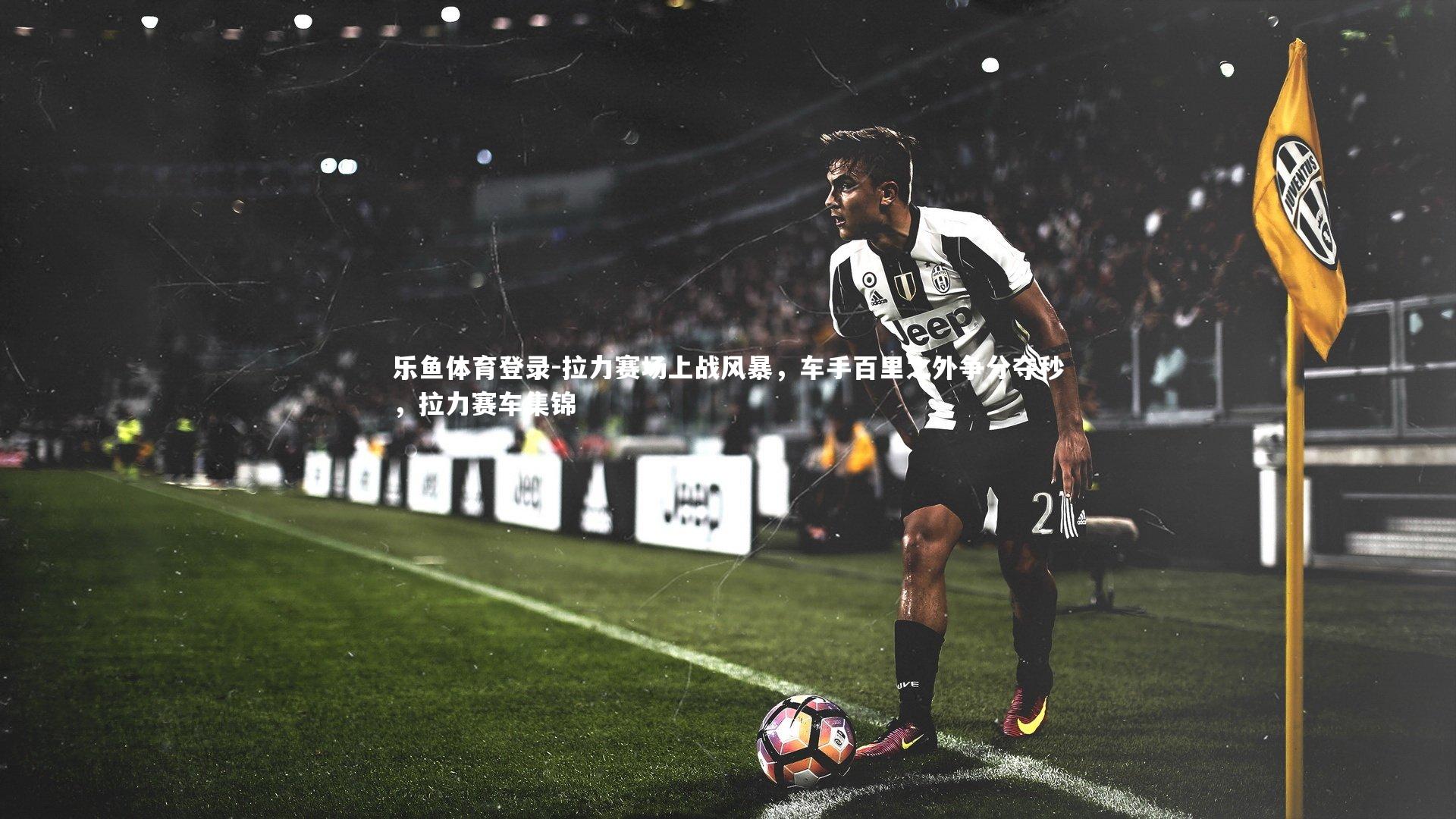 拉力赛场上战风暴,车手百里之外争分夺秒,拉力赛车集锦