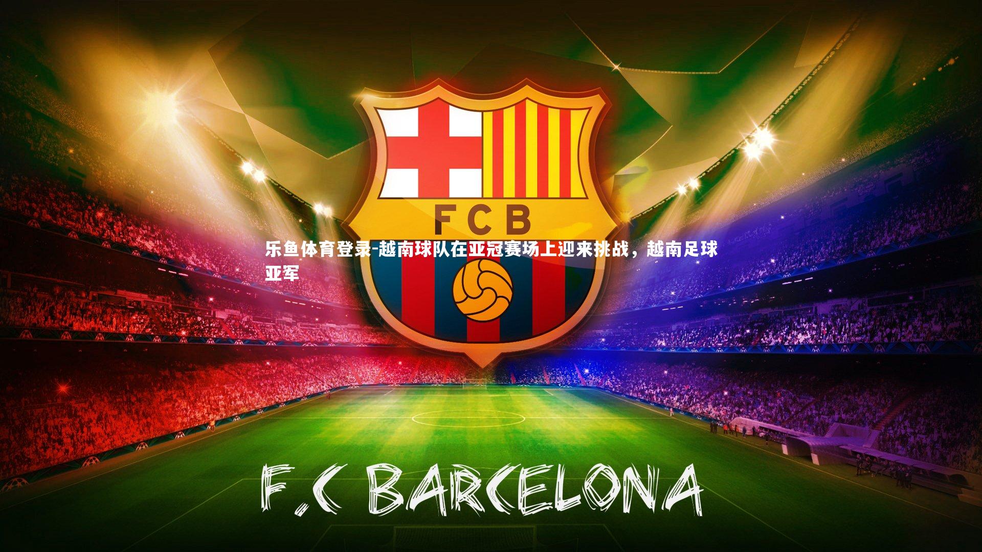 越南球队在亚冠赛场上迎来挑战,越南足球亚军